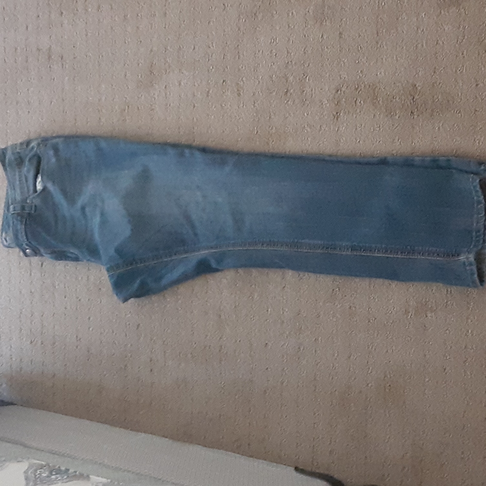 Lane Bryant jeans 7